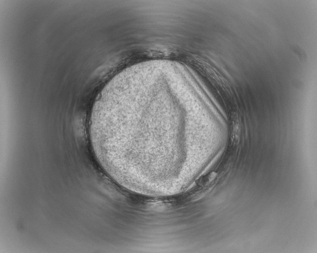 X0000115060616200911161610