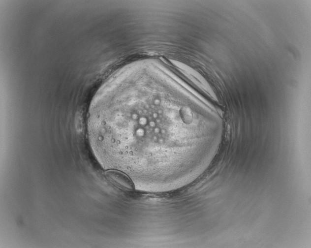 X0000115060620200911161610