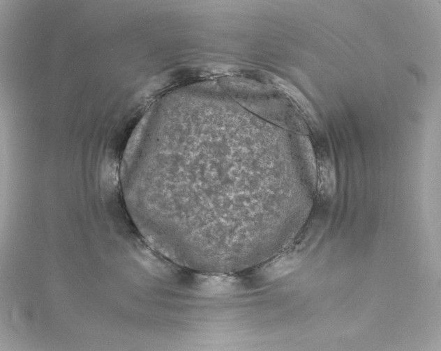 X0000115060621200911161610