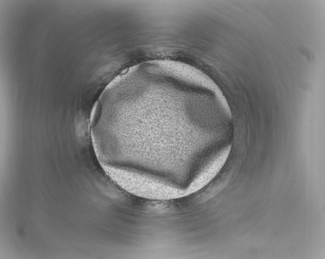 X0000115060624200911161610