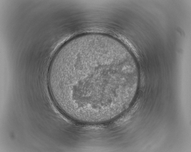 X0000115060625200911161609