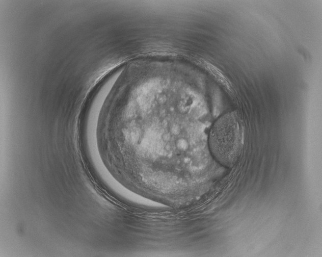 X0000115060627200911161609