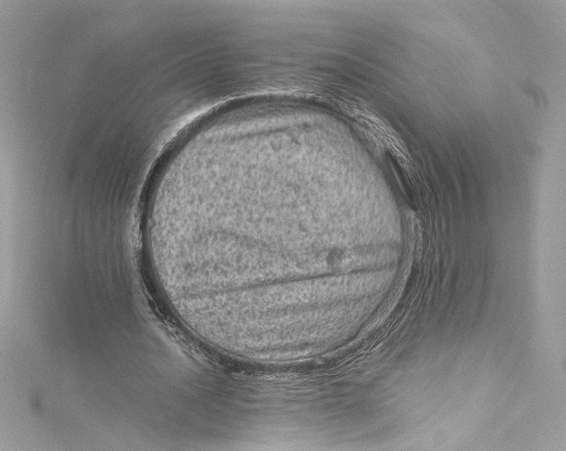 X0000115060628200911161609