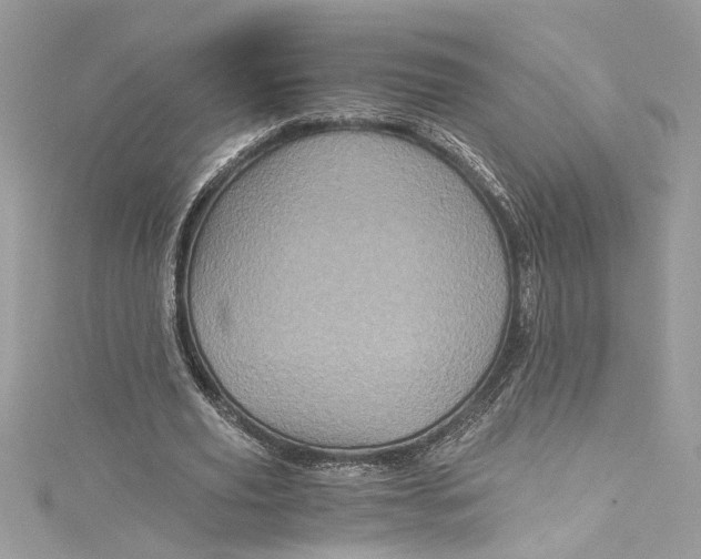 X0000115060629200911161609