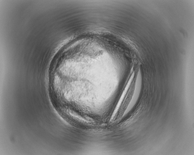 X0000115060630200911161609