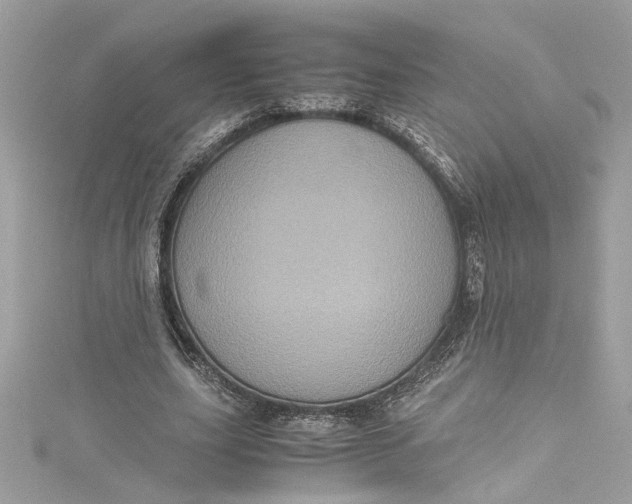 X0000115060631200911161609