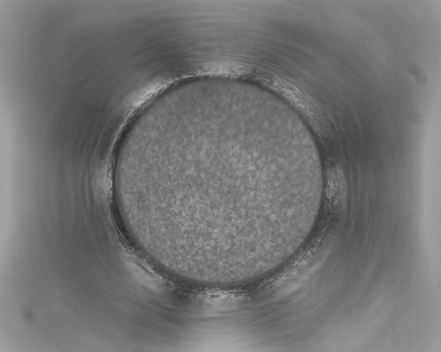 X0000115060632200911161609