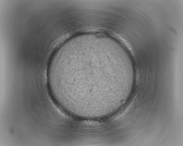 X0000115060633200911161609