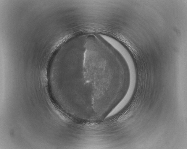 X0000115060634200911161609