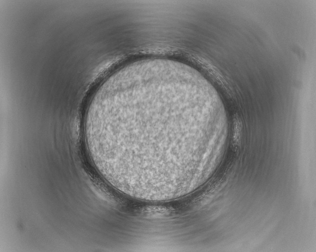 X0000115060636200911161609