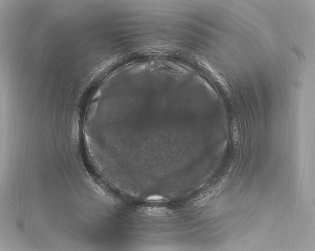 X0000115060637200911161609