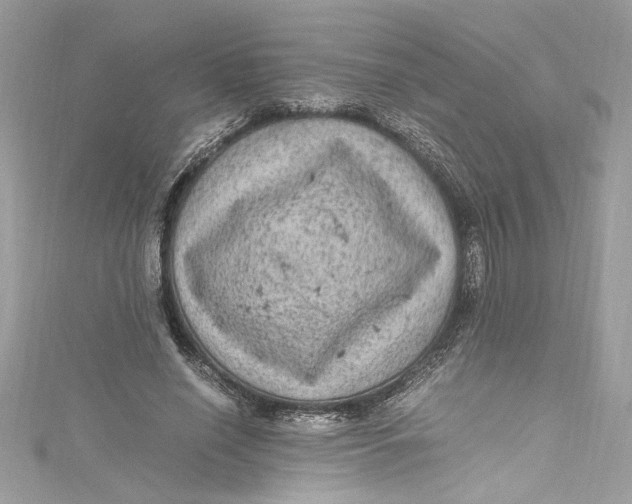 X0000115060638200911161609