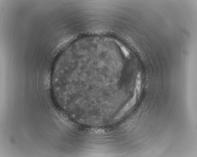 X0000115060640200911161609