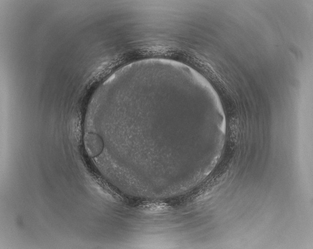 X0000115060642200911161609