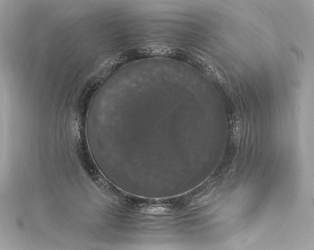 X0000115060643200911161609