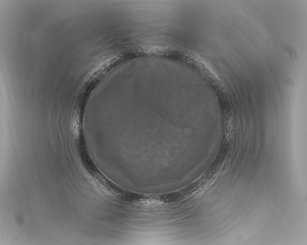 X0000115060644200911161609