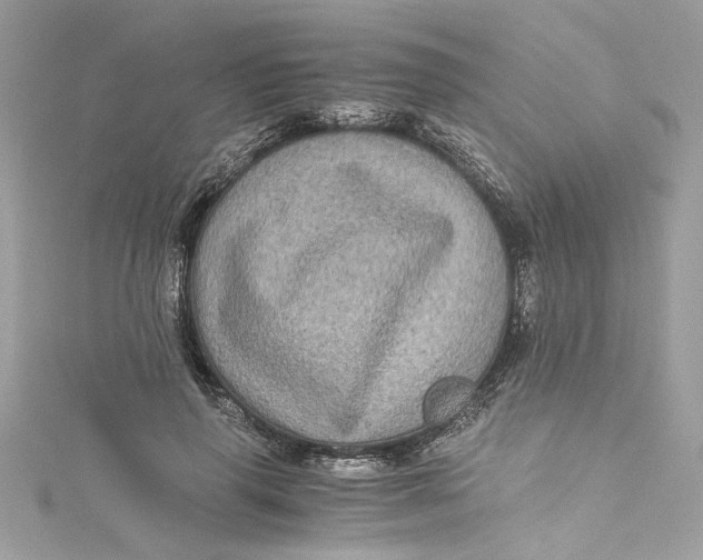 X0000115060645200911161609