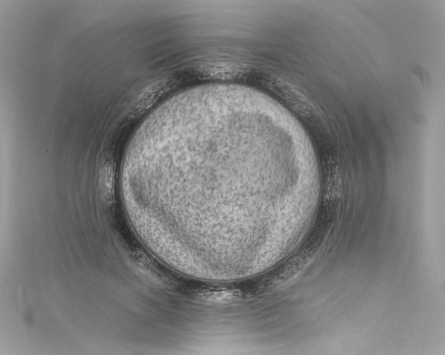 X0000115060646200911161609