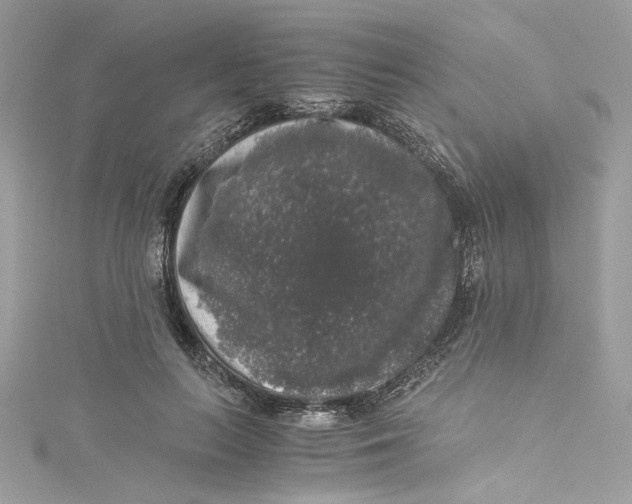 X0000115060647200911161609