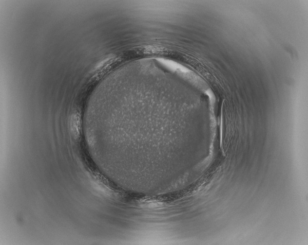 X0000115060648200911161609