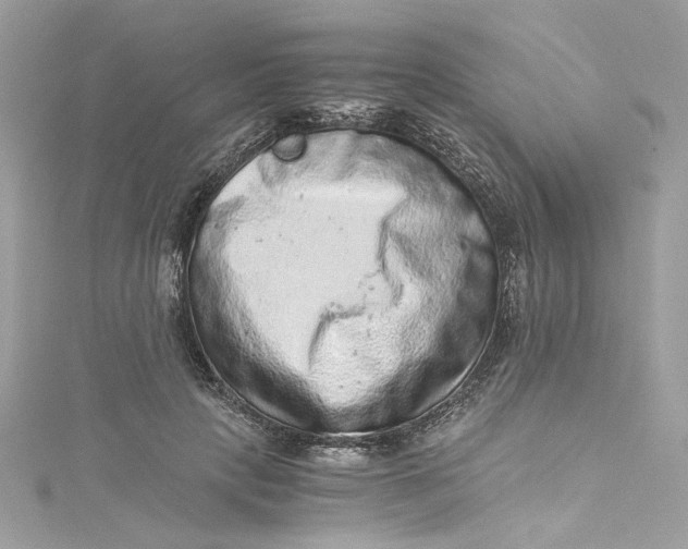 X0000115060649200911161609