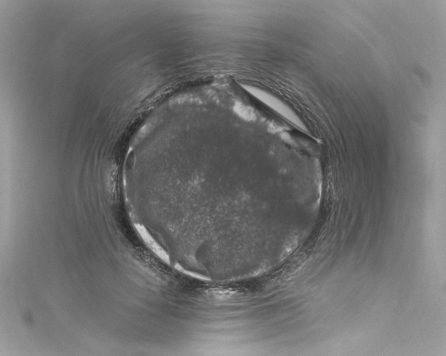 X0000115060650200911161609