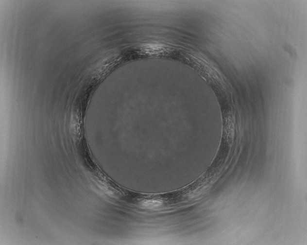 X0000115060653200911161609