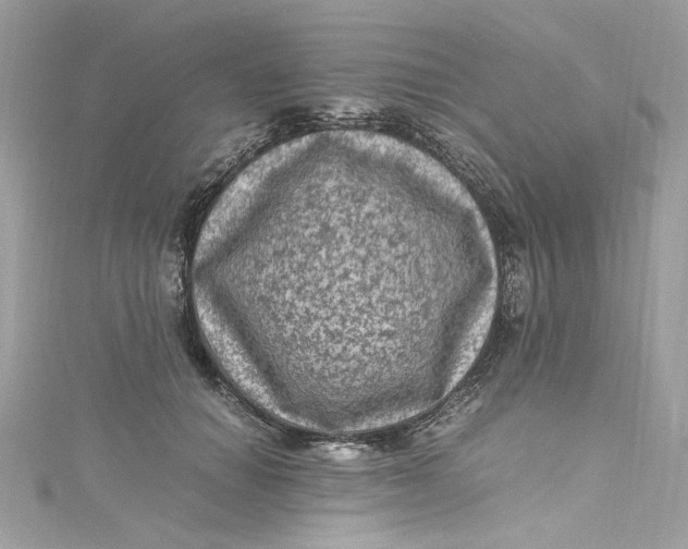 X0000115060654200911161610