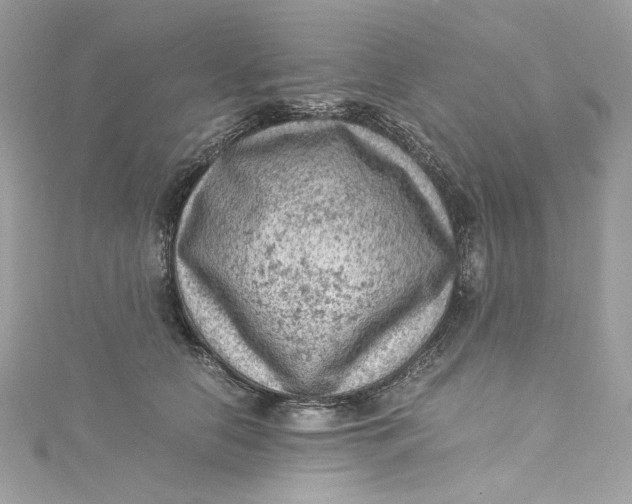 X0000115060658200911161610