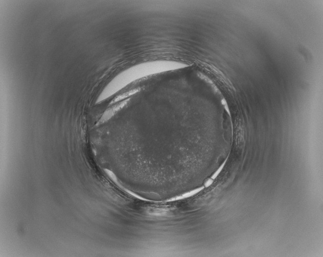 X0000115060661200911161610