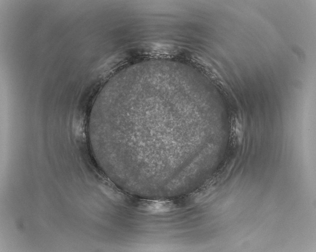 X0000115060663200911161610