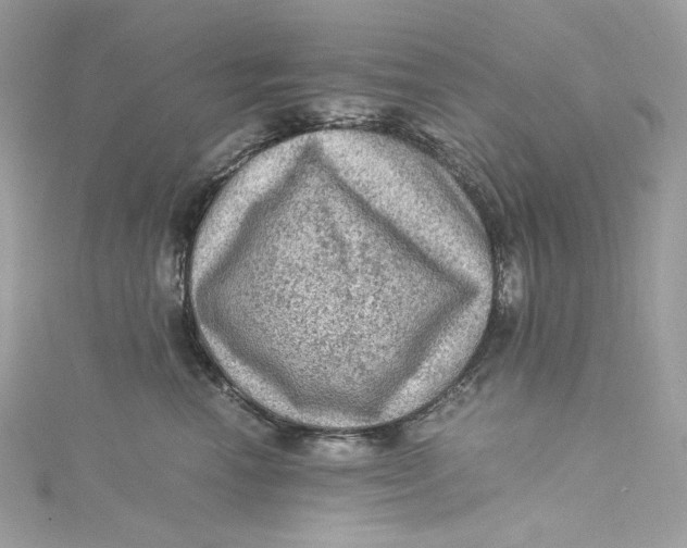 X0000115060666200911161610