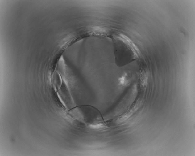 X0000115060669200911161610