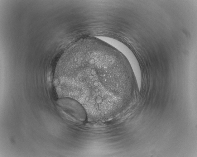 X0000115060670200911161610