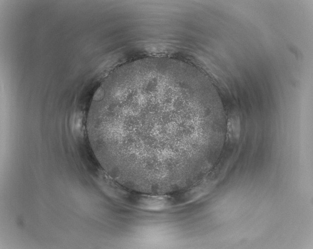 X0000115060671200911161610