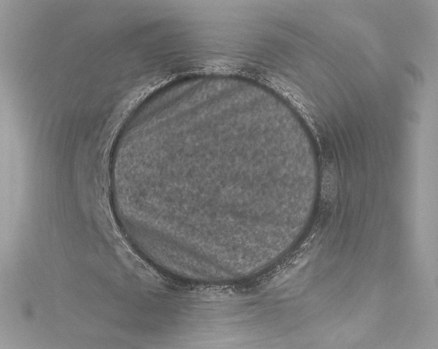 X0000115060673200911161609