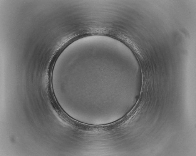 X0000115060674200911161609