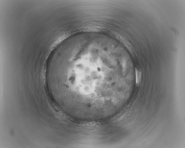 X0000115060675200911161609