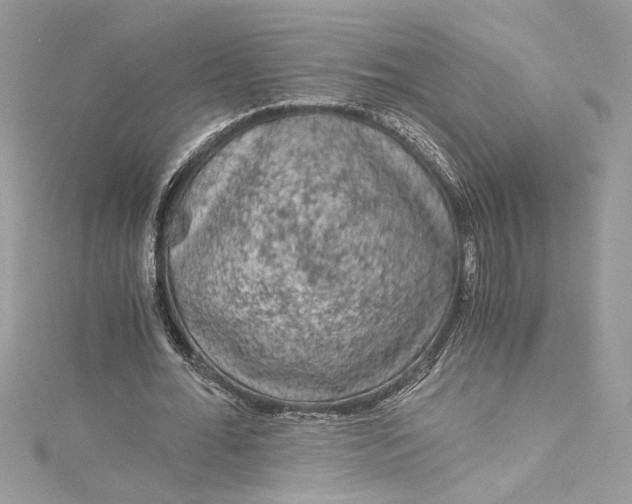 X0000115060676200911161609