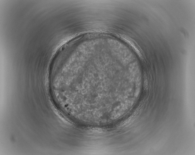 X0000115060677200911161609