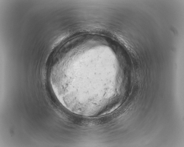 X0000115060679200911161609