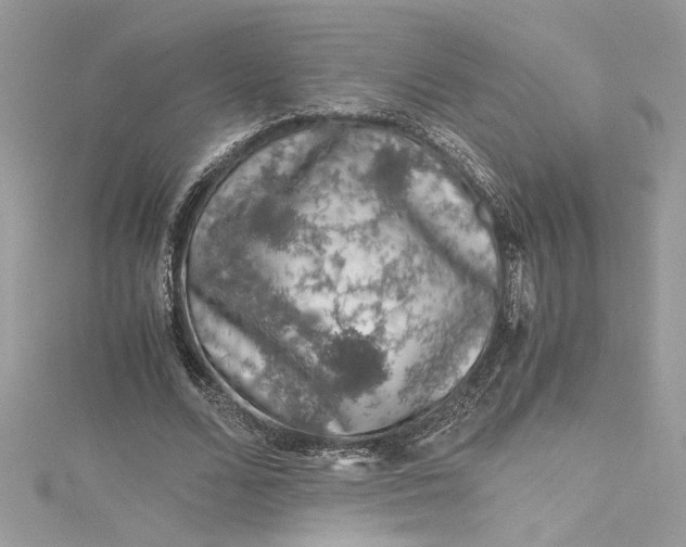 X0000115060680200911161609