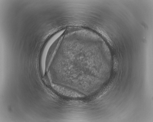 X0000115060681200911161609