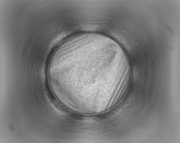 X0000115060682200911161609