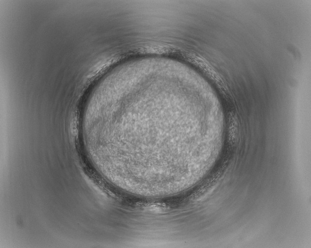 X0000115060683200911161609