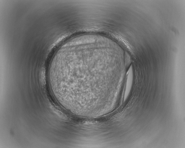 X0000115060684200911161609