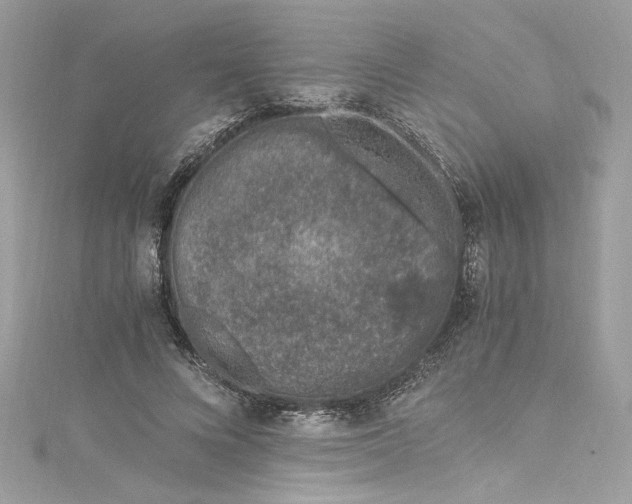 X0000115060688200911161609