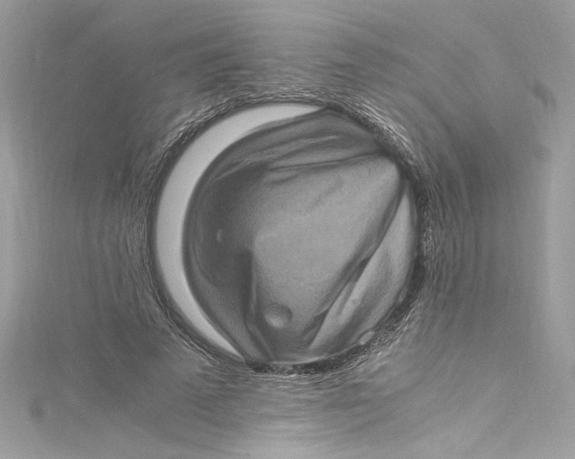 X0000115060689200911161609