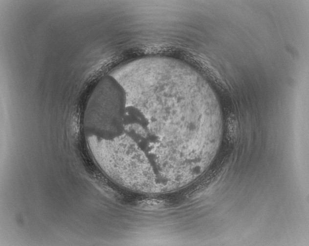 X0000115060691200911161609