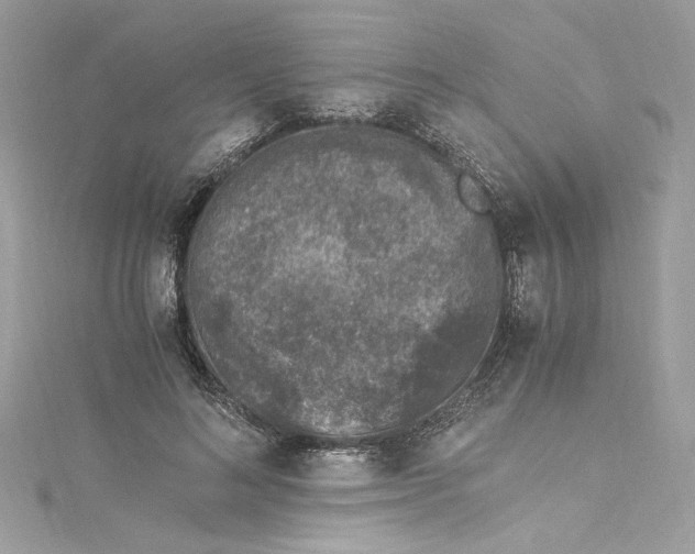 X0000115060692200911161609